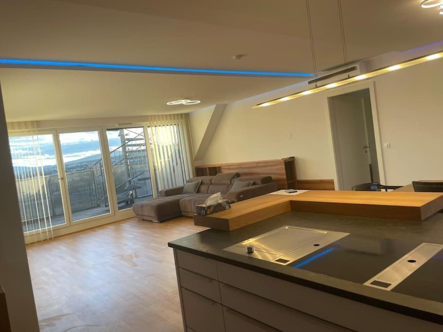 Rooftop Terrace- Panoramablick Ueber Wien Apartman Kültér fotó